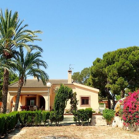 Villa Buganvilla エルチェ エクステリア 写真
