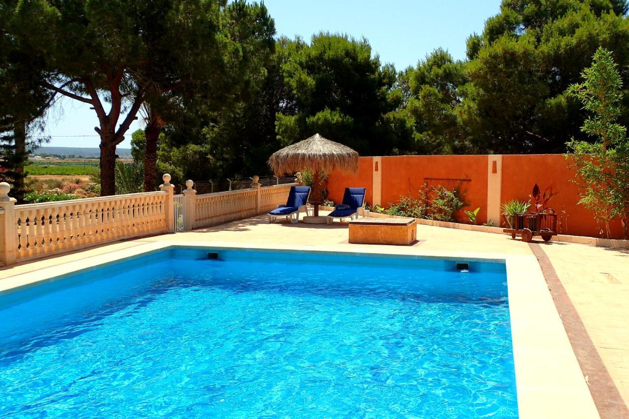 Villa Buganvilla エルチェ エクステリア 写真